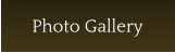 Photo Gallery